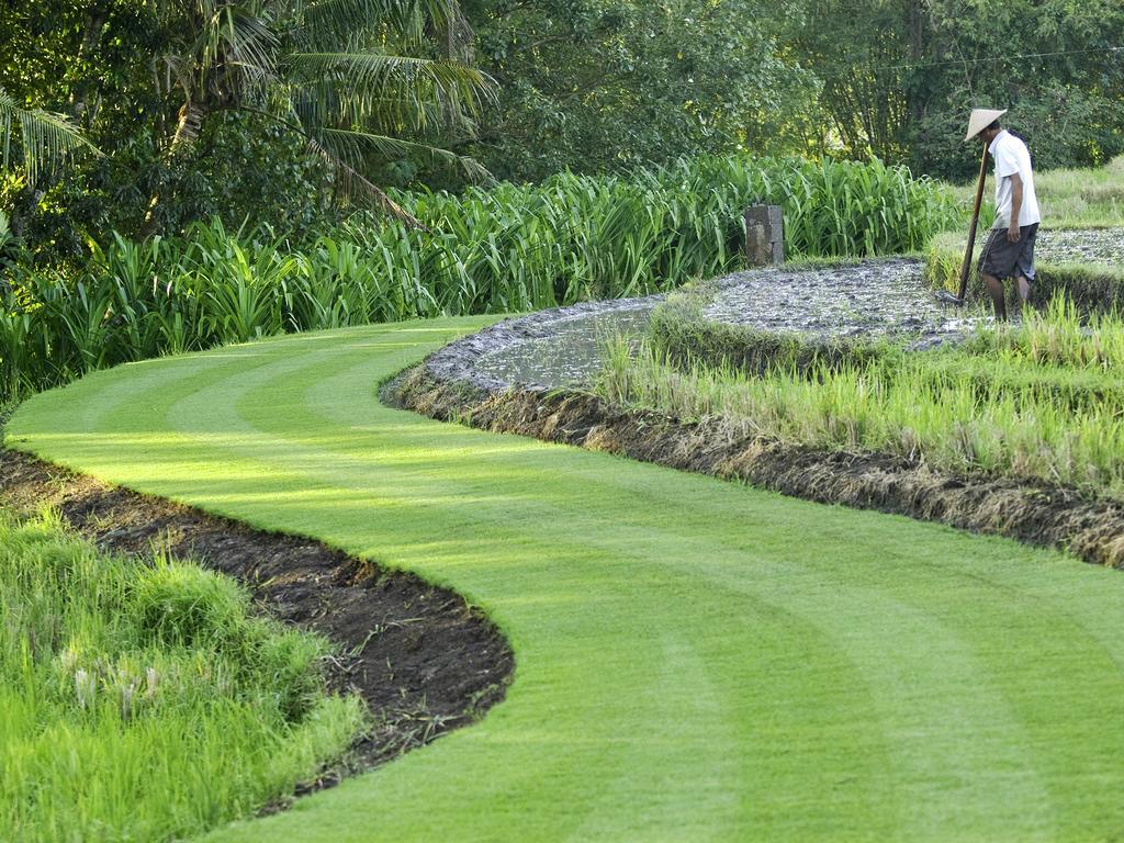 Villa Puri Bawana An Elite Haven Selemadeg Exterior foto